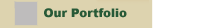 Our Portfolio